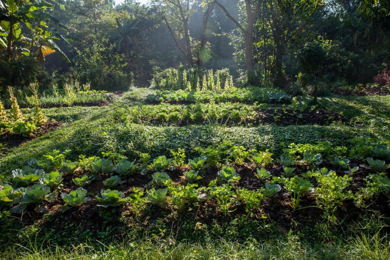 Khaokhoherbary Organicfarm&Resort Khao Kho Exterior photo
